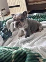 processed/e12c52ba-8918-4add-8854-8d1d56c13c57/facility/7c38b37b-efa6-4d64-ba41-48fb8a84d1af