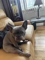 processed/e12c52ba-8918-4add-8854-8d1d56c13c57/facility/b762a210-88ff-44b3-95c0-8f055743afe4