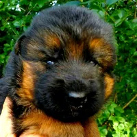 processed/e137f0f8-b913-4e4c-919c-e1630f3c7a0c/facility/55bb5d13-3e0c-4755-bb13-da526d8bc8a0