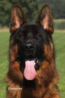 processed/e137f0f8-b913-4e4c-919c-e1630f3c7a0c/facility/bee219bb-99b2-4522-9e7f-f5a642f9e84c