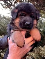 processed/e137f0f8-b913-4e4c-919c-e1630f3c7a0c/facility/fe41edbb-4cb5-4bf2-8cf3-d50c63259cf6