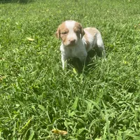 processed/e13d24b0-278e-4f11-aa71-664d5c40662e/facility/d7350cf1-6fcb-411a-ab70-59989ebad521