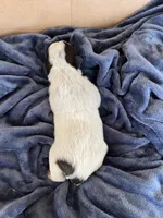 processed/e13d24b0-278e-4f11-aa71-664d5c40662e/listing/06293d64-cf45-493f-9e40-ac4efe45cf37/1588d5be-70f9-49f1-a6fb-2724a2ba9e2d