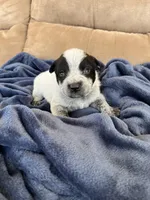 processed/e13d24b0-278e-4f11-aa71-664d5c40662e/listing/06293d64-cf45-493f-9e40-ac4efe45cf37/b211ea6b-5800-441c-976f-3e33291bdfbf