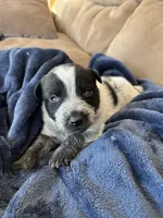 processed/e13d24b0-278e-4f11-aa71-664d5c40662e/listing/a8fea0be-ea81-4a26-b9db-50448112fa9c/45c51fc2-d874-4569-80f1-d6784b7fa153