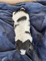 processed/e13d24b0-278e-4f11-aa71-664d5c40662e/listing/a8fea0be-ea81-4a26-b9db-50448112fa9c/5c8b7b2d-efca-4eeb-af0c-010ea38c7947