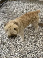 processed/e145561a-1e56-4651-b82b-92927dbff827/facility/092d31c3-8e9b-4a1e-95f0-6ffff0a764ce