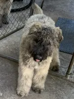 processed/e145561a-1e56-4651-b82b-92927dbff827/facility/5745d835-4e04-49df-9a86-62c5d07977db