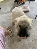 processed/e145561a-1e56-4651-b82b-92927dbff827/facility/67adf5ab-fc95-401e-b6e6-9173cfc6ee62