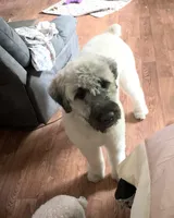 processed/e145561a-1e56-4651-b82b-92927dbff827/facility/7de22c6b-244d-4b87-ae75-2c262d778dc0