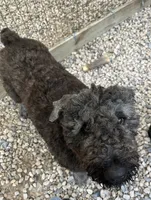 processed/e145561a-1e56-4651-b82b-92927dbff827/facility/998ac088-0c39-45f8-bab6-4a7192949ac4