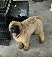 processed/e145561a-1e56-4651-b82b-92927dbff827/facility/e6222649-467e-48f5-9a65-eed75024b54f