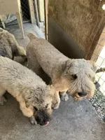 processed/e145561a-1e56-4651-b82b-92927dbff827/facility/f07c882c-a2e3-448c-b8ec-4cbaf6e2aa81