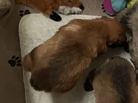 processed/e145561a-1e56-4651-b82b-92927dbff827/listing/adc2ea38-7eb5-444c-a225-766716df5061/d5d40527-8aa8-44d8-9f69-f0a11be0577a