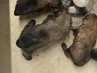 processed/e145561a-1e56-4651-b82b-92927dbff827/listing/aff78341-95bb-45ef-9e2d-fee2980108e7/ff654904-19d9-4da0-84e1-64b0f2afa493