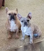 processed/e14b798c-ea72-4f2f-953a-b69db9cf422b/facility/6016505e-f711-45c5-8f71-482fbc662be4