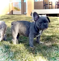 processed/e14b798c-ea72-4f2f-953a-b69db9cf422b/listing/c7a1423d-c3a1-40be-8268-31a0dd3940d8/5273d8f3-4122-4823-bc43-4836327fed8b