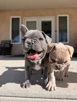 processed/e14b798c-ea72-4f2f-953a-b69db9cf422b/listing/c7a1423d-c3a1-40be-8268-31a0dd3940d8/f723ff8c-d843-431d-8be7-d20139474f38