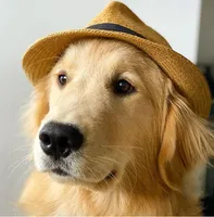 processed/e153e006-b188-4fb0-a551-bed8b80f7c7c/facility/68d73ba9-0457-4fcc-a9ac-04d89b720b4d