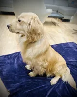 processed/e153e006-b188-4fb0-a551-bed8b80f7c7c/facility/8fa16cf3-dd39-49ca-831d-c52f62fbdd73