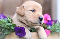 processed/e153e006-b188-4fb0-a551-bed8b80f7c7c/facility/f36b8c43-6f2c-4228-a5a8-599cf78ede5a