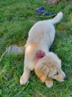 processed/e153e006-b188-4fb0-a551-bed8b80f7c7c/facility/f3e645c9-a81c-4198-8493-8607b781174d