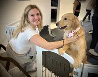 Lulu Pop, a female Golden Retriever for sale in Spring Valley, NY – Photo 6 of 6