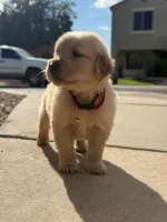 processed/e1599f47-ac46-49a6-af6c-b43281118a9d/listing/5a5b5b0a-9c89-4fb0-a0fa-472c0a686a82/18d18904-3375-41a6-93ea-92874ee22608