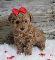 processed/e15ad7c1-404d-4e65-b4a5-9ba75da091dd/listing/fa6700cc-6753-4a01-9302-22637e33e520/01543365-f205-42dd-854c-03b8d83e771f