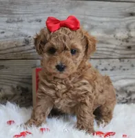 processed/e15ad7c1-404d-4e65-b4a5-9ba75da091dd/listing/fa6700cc-6753-4a01-9302-22637e33e520/2ad0d0a1-daa0-4bb0-bf79-61904dbf473e