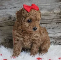 processed/e15ad7c1-404d-4e65-b4a5-9ba75da091dd/listing/fa6700cc-6753-4a01-9302-22637e33e520/68db300b-bc1c-4e51-b227-52a6de6e1e9c