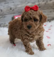 processed/e15ad7c1-404d-4e65-b4a5-9ba75da091dd/listing/fa6700cc-6753-4a01-9302-22637e33e520/85025038-3226-49fe-8427-8750dc8d9f04