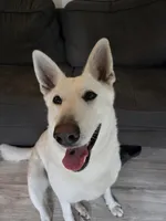 processed/e161716f-fcf2-4a91-9323-f059c9ff35c9/facility/027f536b-cef0-4e5d-9c50-2f6cecf51bb8