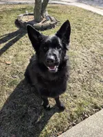 processed/e161716f-fcf2-4a91-9323-f059c9ff35c9/facility/7710b0a3-a431-48c8-92bb-543f738faeb1