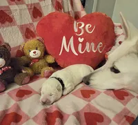 processed/e161716f-fcf2-4a91-9323-f059c9ff35c9/facility/7e74eec2-f37d-476a-bdd0-82f458b72845