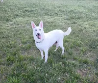 processed/e161716f-fcf2-4a91-9323-f059c9ff35c9/facility/8c6ca77b-cd5d-4e14-bee2-6a235f64f820