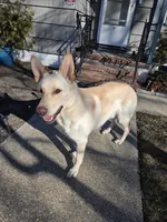 processed/e161716f-fcf2-4a91-9323-f059c9ff35c9/facility/9998dd94-f327-4506-858a-8a283e1bdd6a