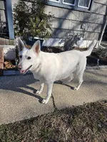 processed/e161716f-fcf2-4a91-9323-f059c9ff35c9/facility/a9076536-fb93-4fc1-ac0d-f7c536df9e76