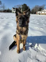 processed/e161716f-fcf2-4a91-9323-f059c9ff35c9/facility/fa3ef732-72d4-4093-b3ae-46aba9a8e491