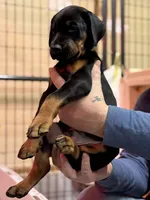 processed/e1675e59-0878-4c06-8d67-f58de8aaf2f7/listing/24ff8c8f-d335-4b08-89b3-b48333fa099f/8a433e86-79ca-4979-b816-f5f1af8a34ef