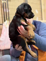 processed/e1675e59-0878-4c06-8d67-f58de8aaf2f7/listing/24ff8c8f-d335-4b08-89b3-b48333fa099f/a9fb4729-847c-4189-bdcb-92429d66e250