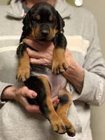 processed/e1675e59-0878-4c06-8d67-f58de8aaf2f7/listing/3ab1f73b-22d0-45b8-a826-4a4f34892fd7/1e0c5eda-7ba9-431d-9990-43978a171f9c