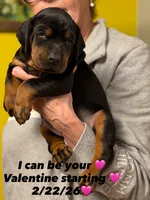 processed/e1675e59-0878-4c06-8d67-f58de8aaf2f7/listing/3ab1f73b-22d0-45b8-a826-4a4f34892fd7/5b4d6d3f-b735-45f9-a04e-43da7cc8f8b2