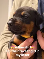 processed/e1675e59-0878-4c06-8d67-f58de8aaf2f7/listing/49debf8a-51c7-49d6-ab17-392325842317/27dfc08f-d7c8-408d-add9-f97ea6638825