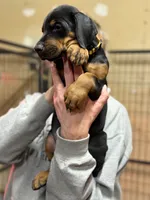 processed/e1675e59-0878-4c06-8d67-f58de8aaf2f7/listing/49debf8a-51c7-49d6-ab17-392325842317/2aabc4de-5664-4a56-982c-c313a645f197