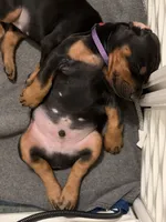 processed/e1675e59-0878-4c06-8d67-f58de8aaf2f7/listing/4f98e5e9-8624-4465-b053-2c163e43f90a/5ae7c5cd-d40d-4b04-8827-76fb3f751965