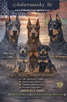 processed/e1675e59-0878-4c06-8d67-f58de8aaf2f7/listing/5bc70976-b66e-48c3-b436-f46b89036bcc/4de65ea8-629b-4e0a-8525-4a6e6d1dcae9