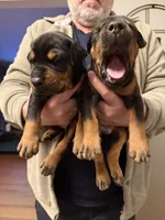 processed/e1675e59-0878-4c06-8d67-f58de8aaf2f7/listing/6a1ba026-a977-4824-a598-a02650b38889/3789d650-c936-49c7-a80e-3578d310380a