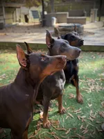 processed/e1675e59-0878-4c06-8d67-f58de8aaf2f7/listing/6a1ba026-a977-4824-a598-a02650b38889/6cccdcbe-3341-4a9c-ac8d-9288427b73e7