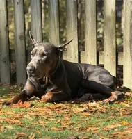 processed/e1675e59-0878-4c06-8d67-f58de8aaf2f7/listing/6a1ba026-a977-4824-a598-a02650b38889/79e76f6a-672c-46e1-bc48-6738b9885260